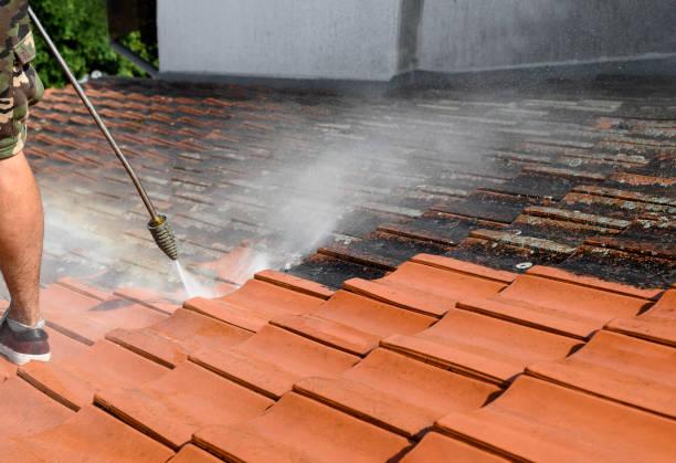 Best Residential Pressure Washing Services  in Suncoast Estates, FL
