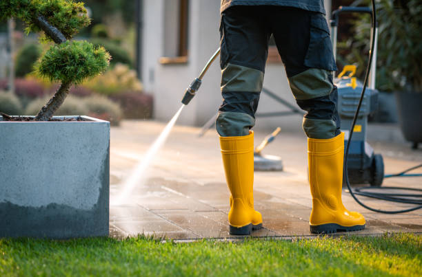Best Exterior Home Cleaning  in Suncoast Estates, FL